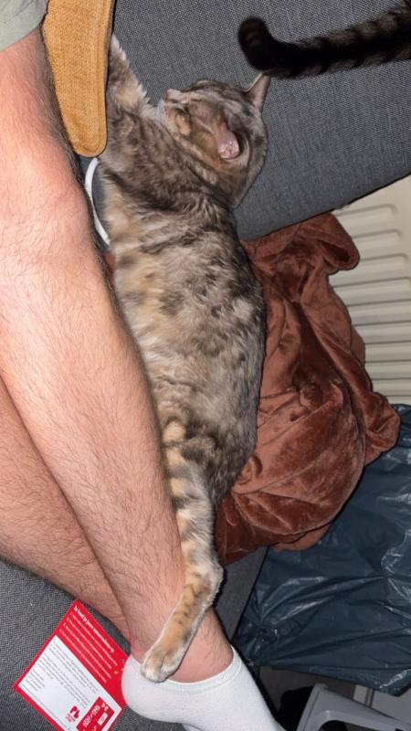 Buddha/Skye