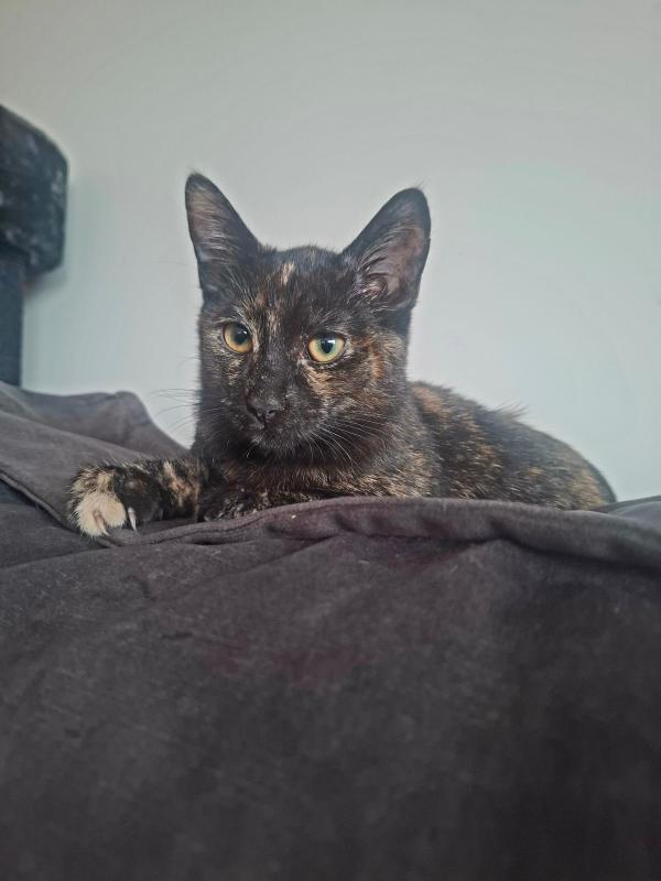 Luna