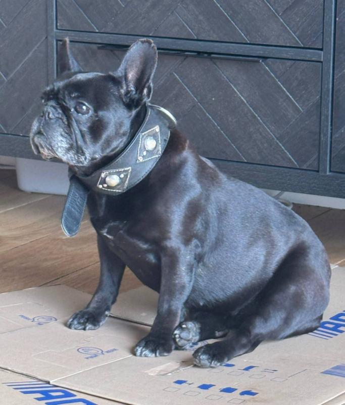Lola
