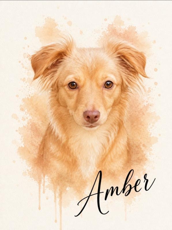 Amber