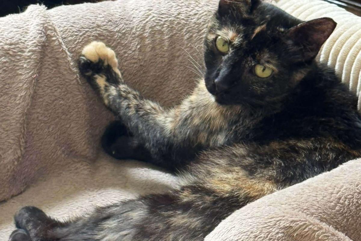 Penelope