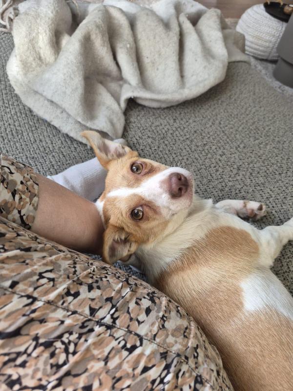 Coco