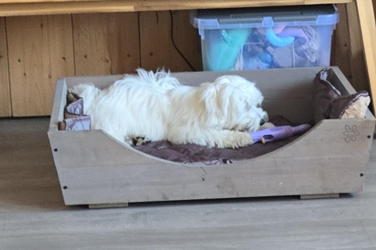 Mylo