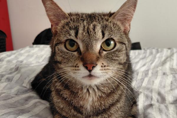 Luna