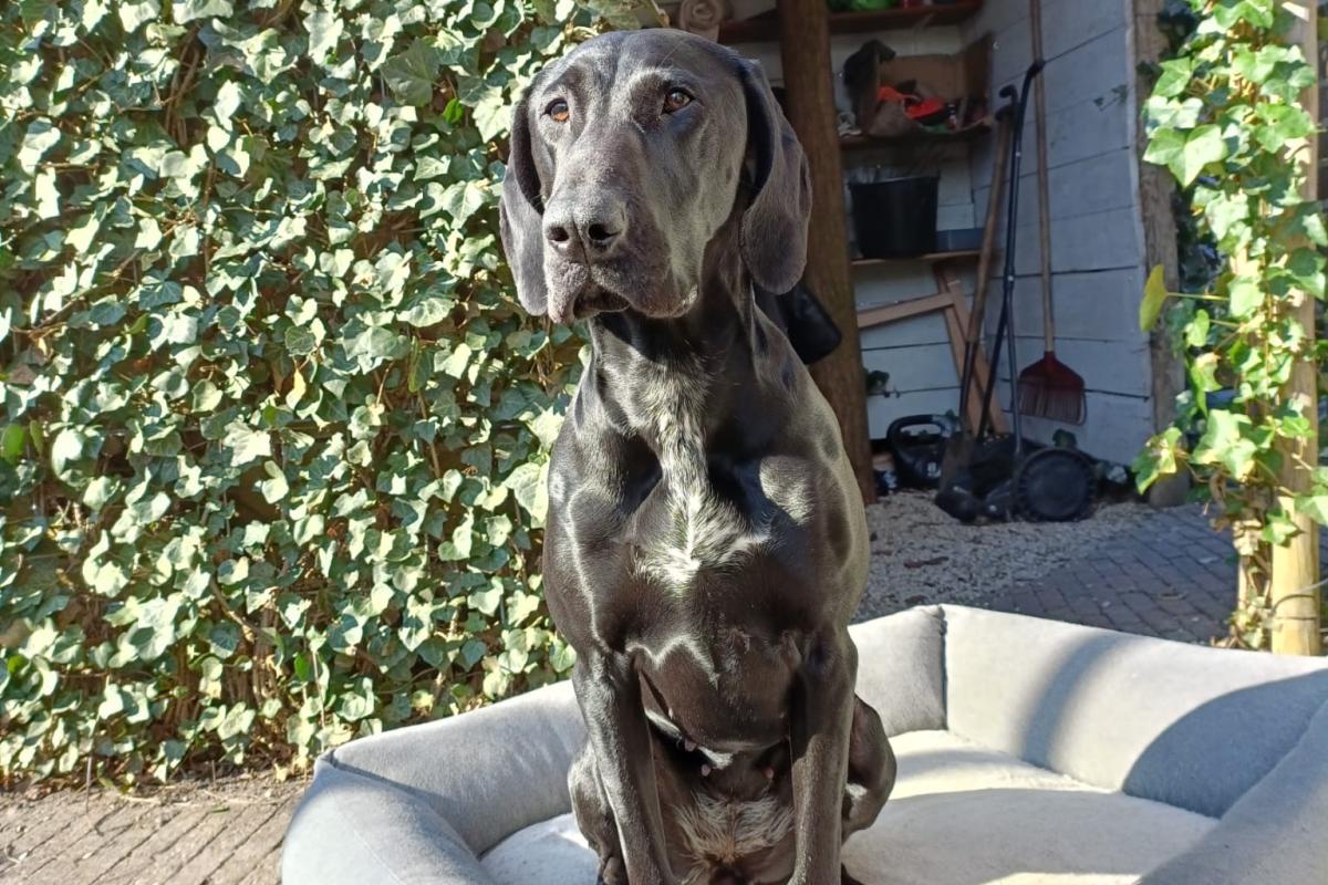 Lena
