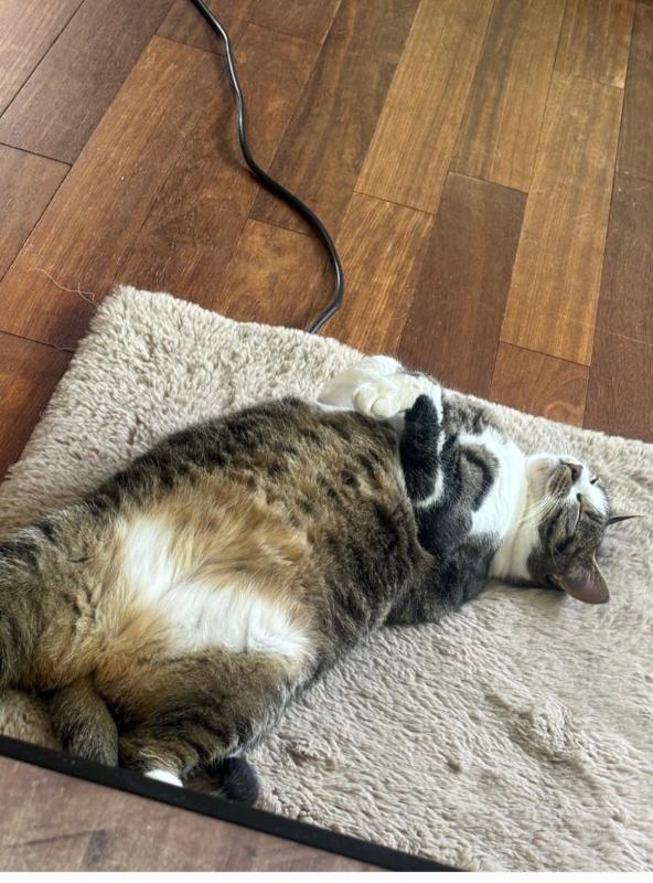 Mimi