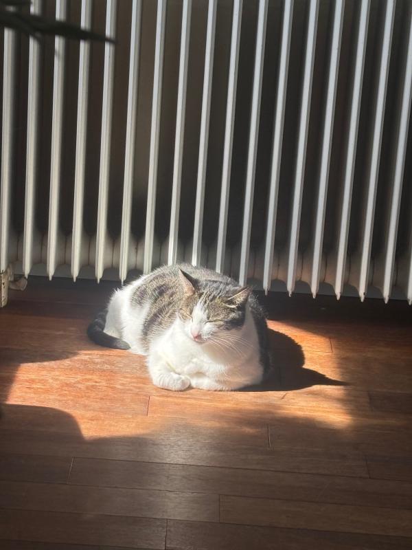 Lily