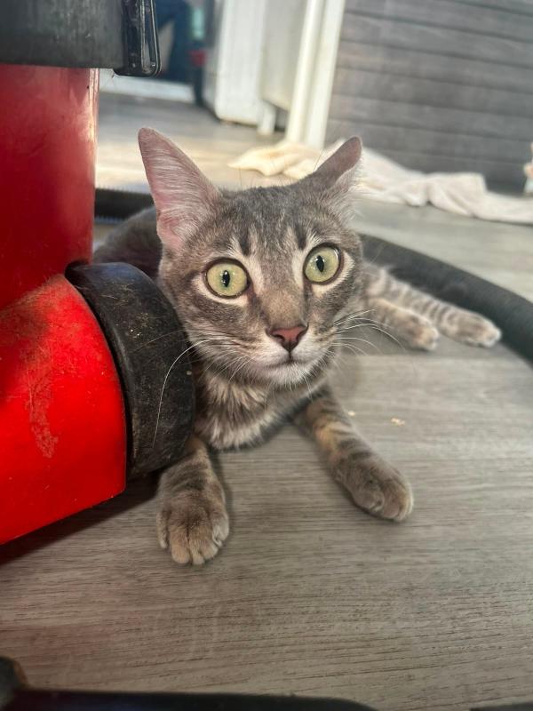 Matilda