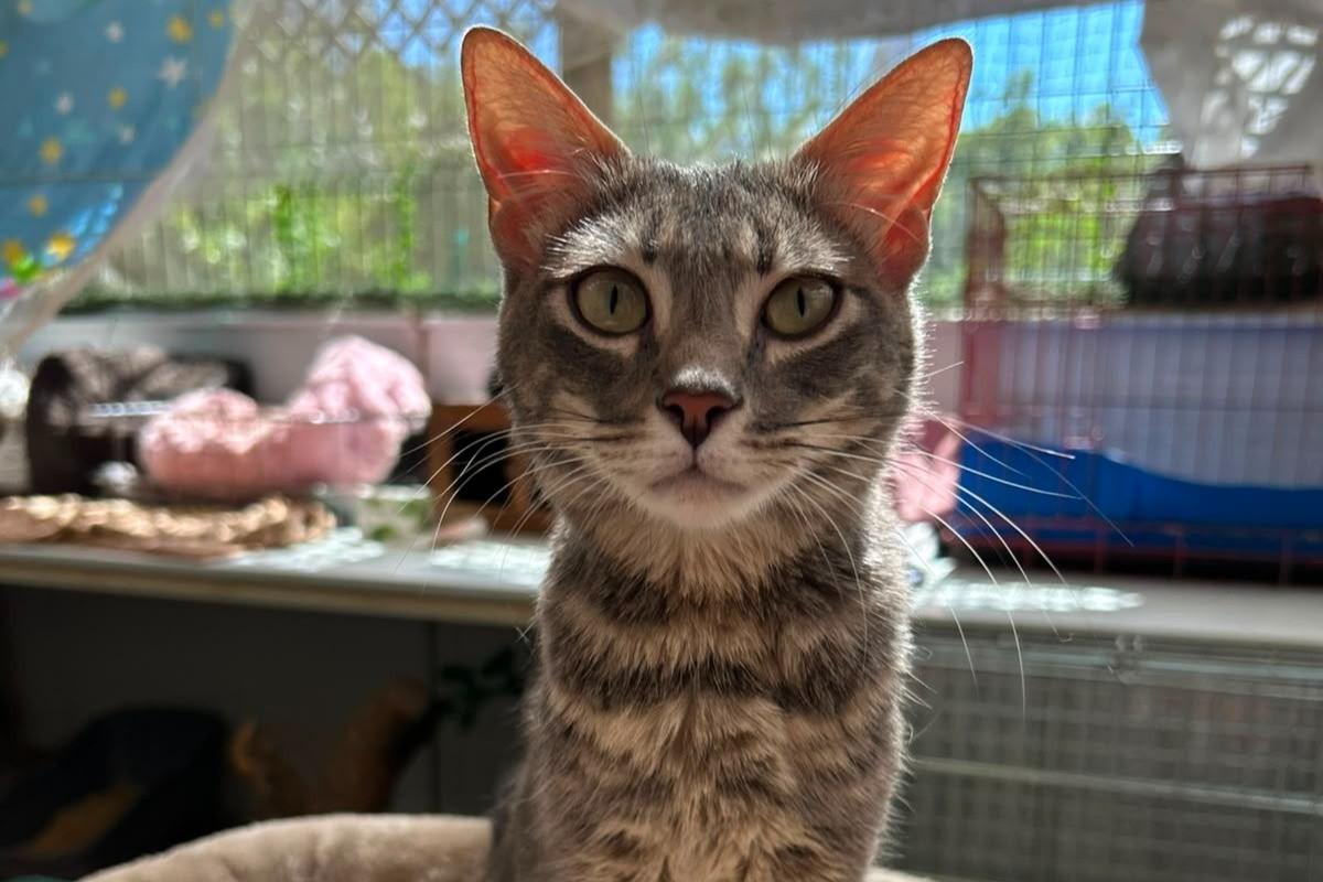 Matilda