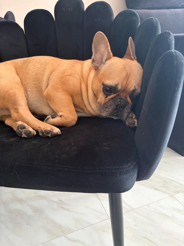 Max