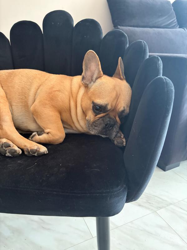 Max