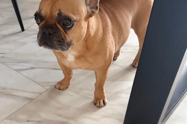 Max