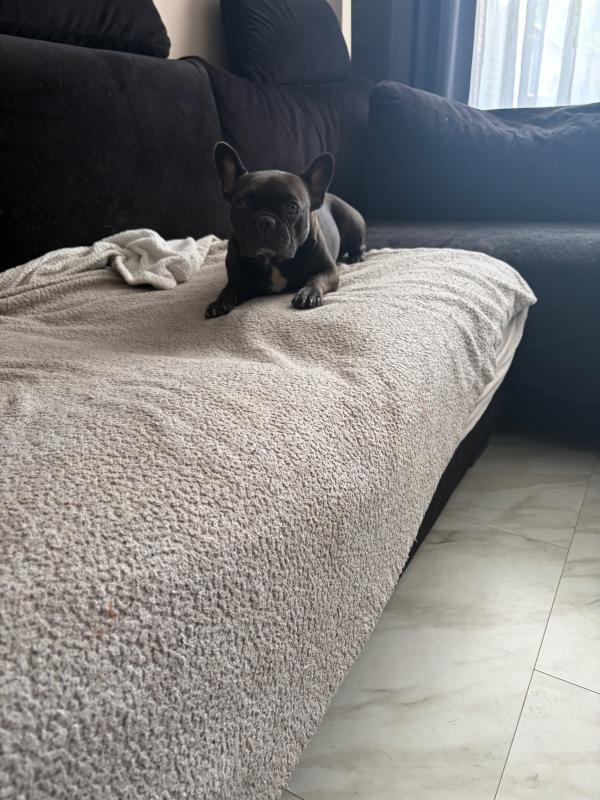 Mila