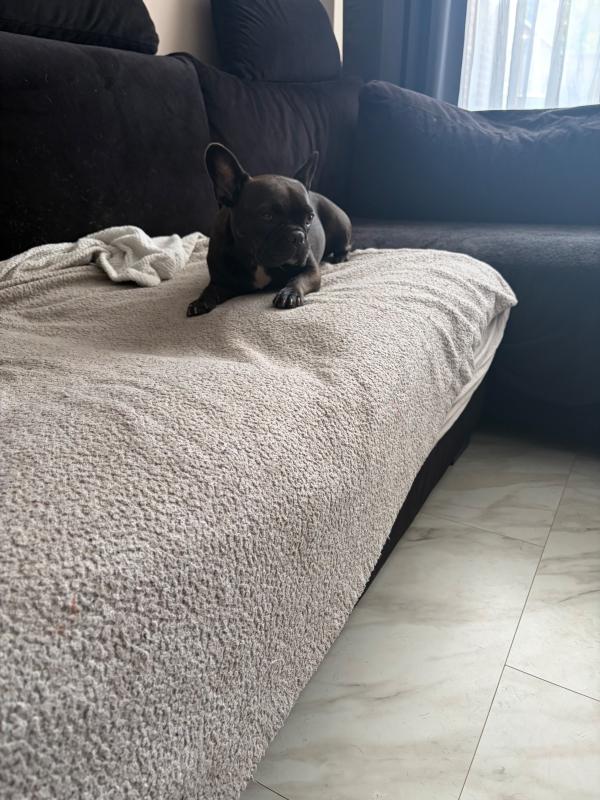 Mila