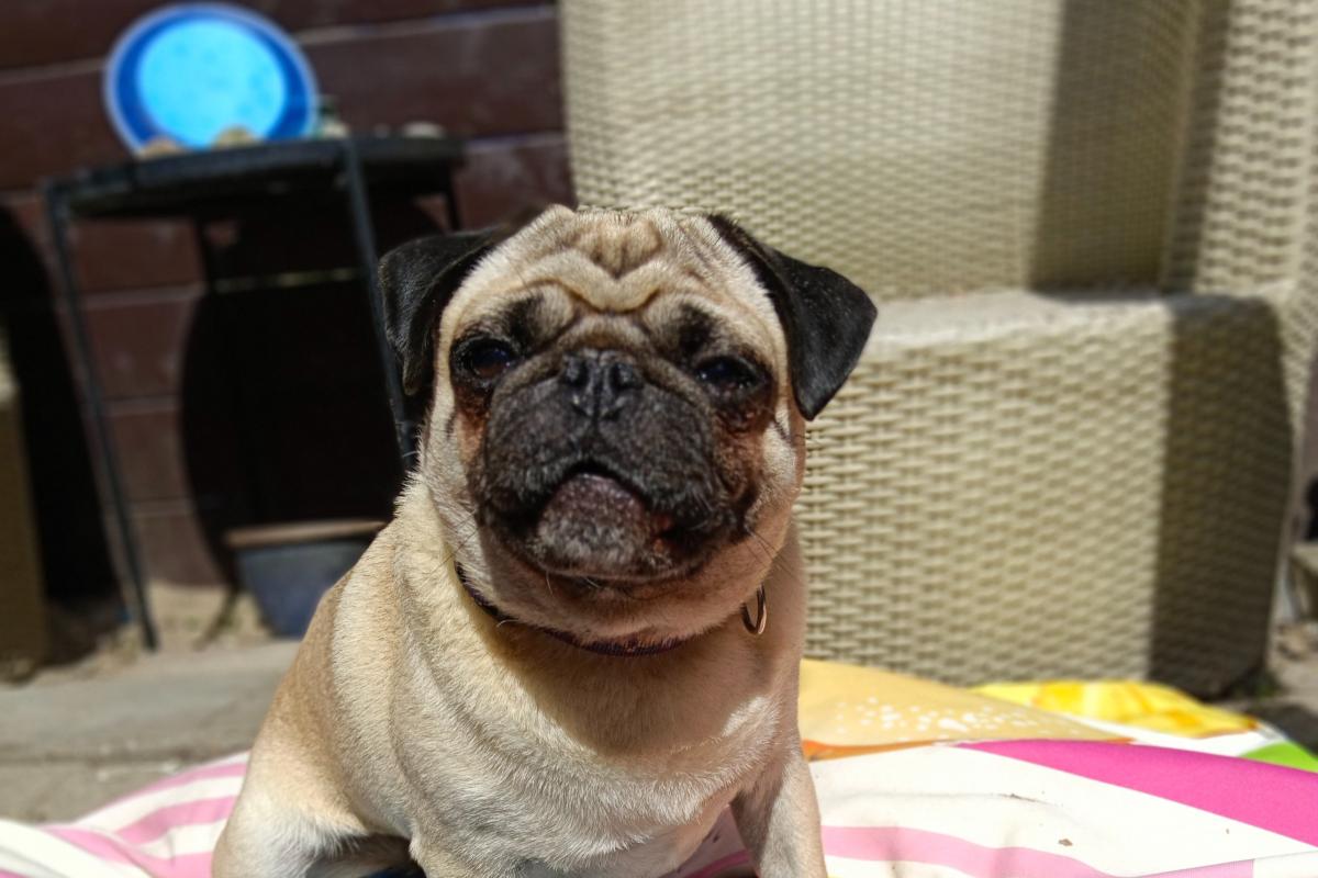Charlie
