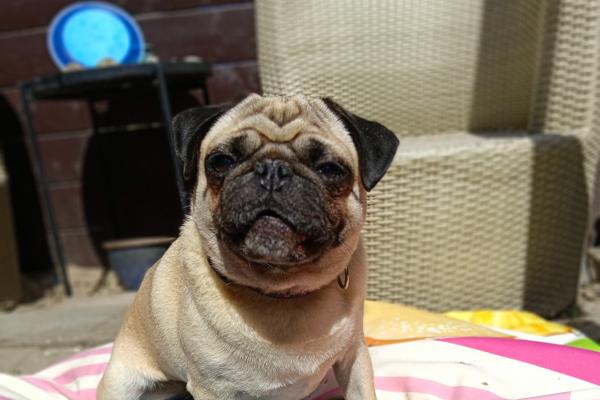 Charlie
