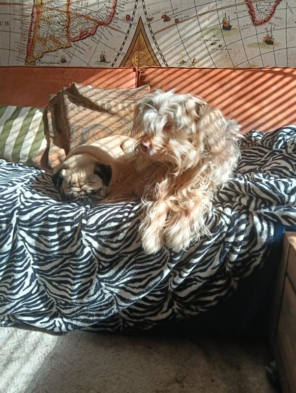 Charlie