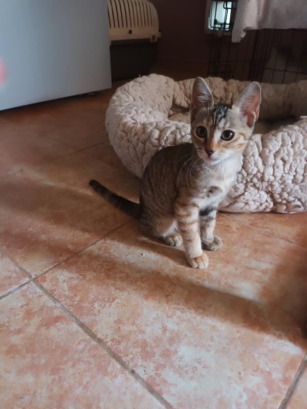 Vera