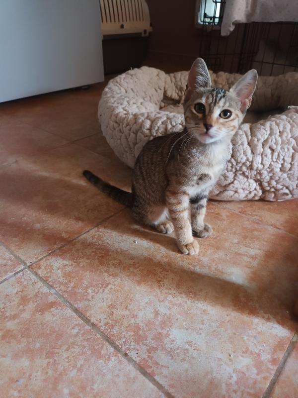 Vera