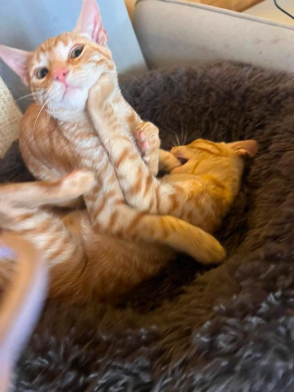 Dougie & Scotty