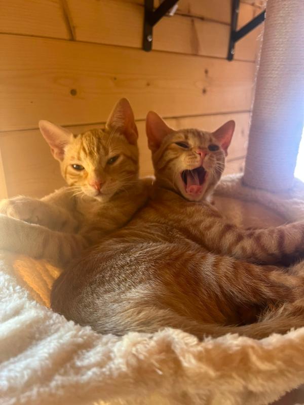 Dougie & Scotty