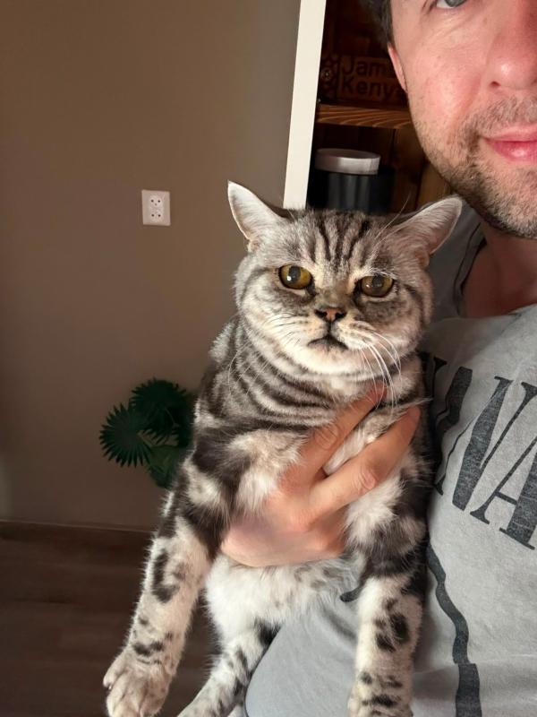 Dexter