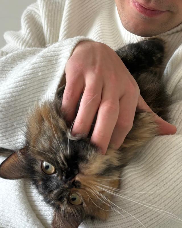 Pip