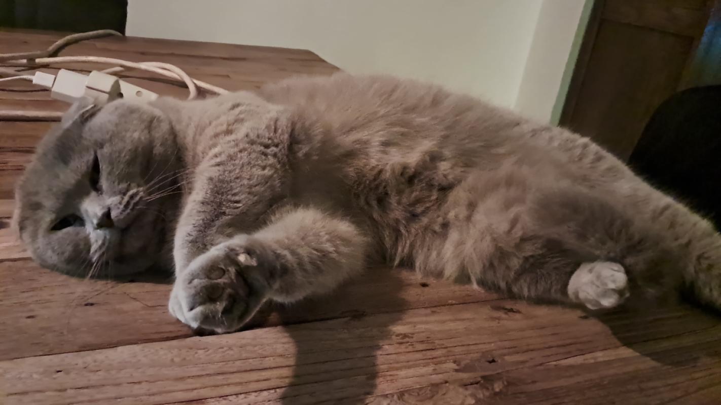 Luna