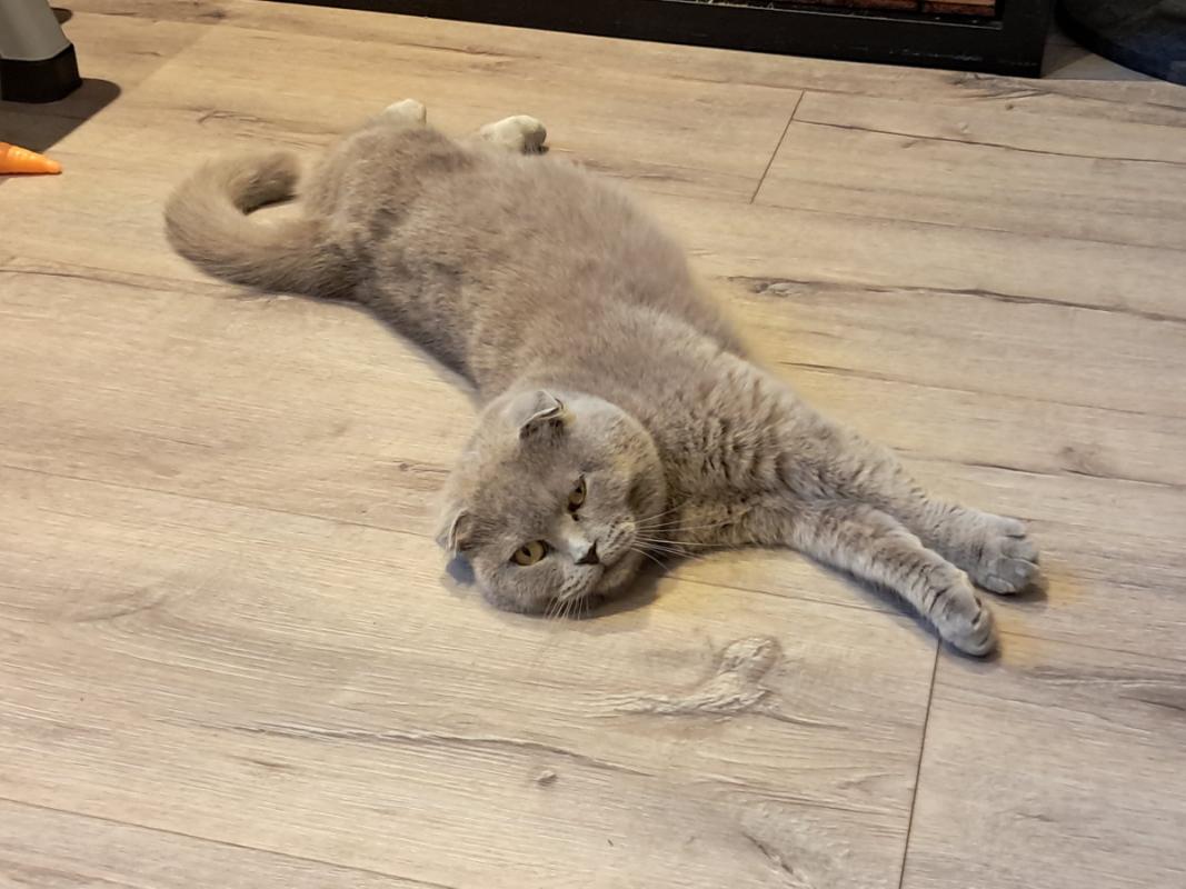 Luna