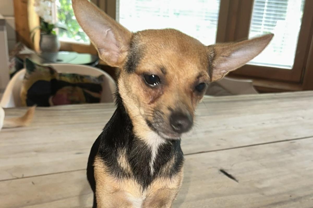 Max