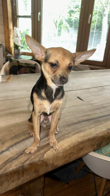 Max