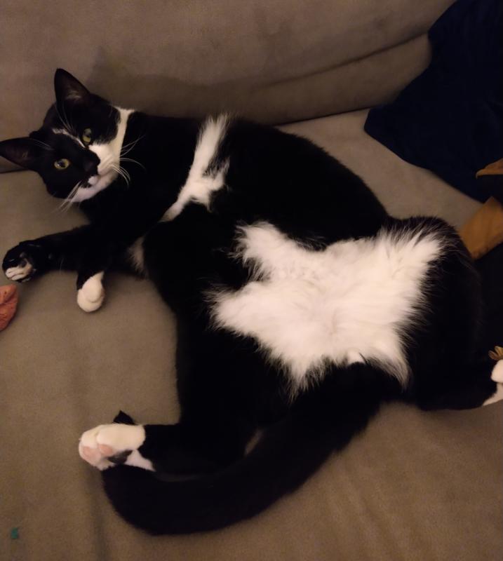 Mr Jones