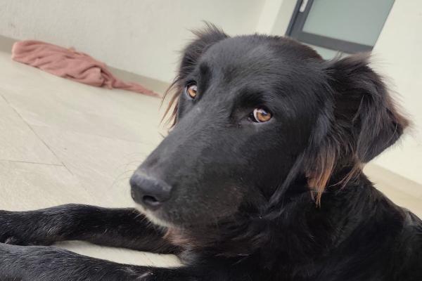 Max