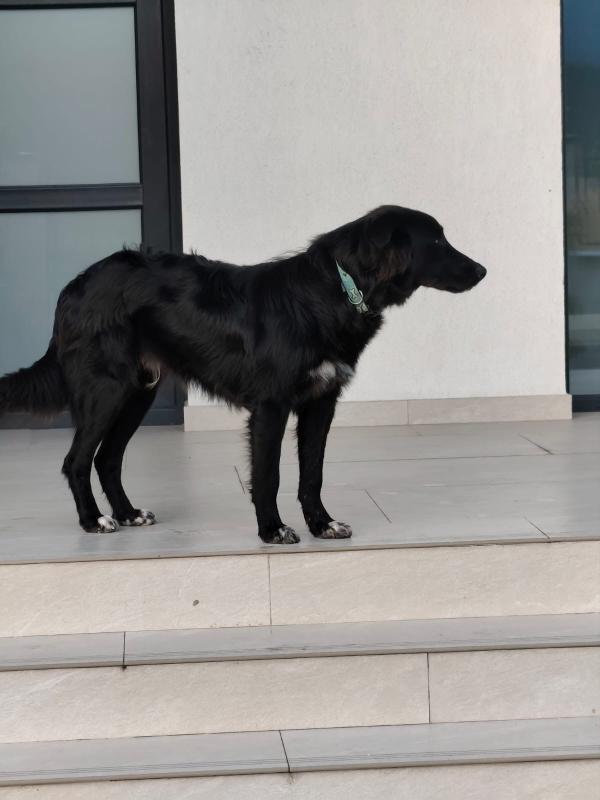 Max