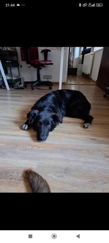 Max