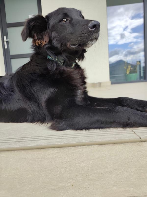 Max