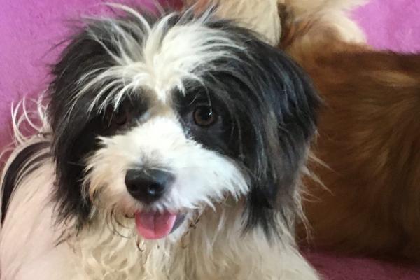 Clara