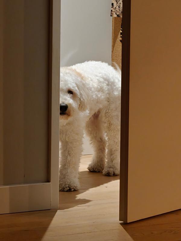 Pip