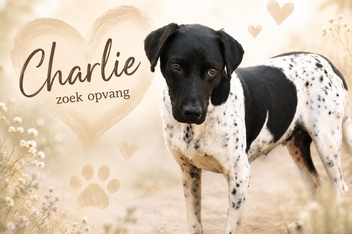 Charlie