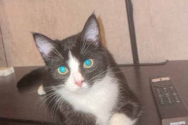 Molly