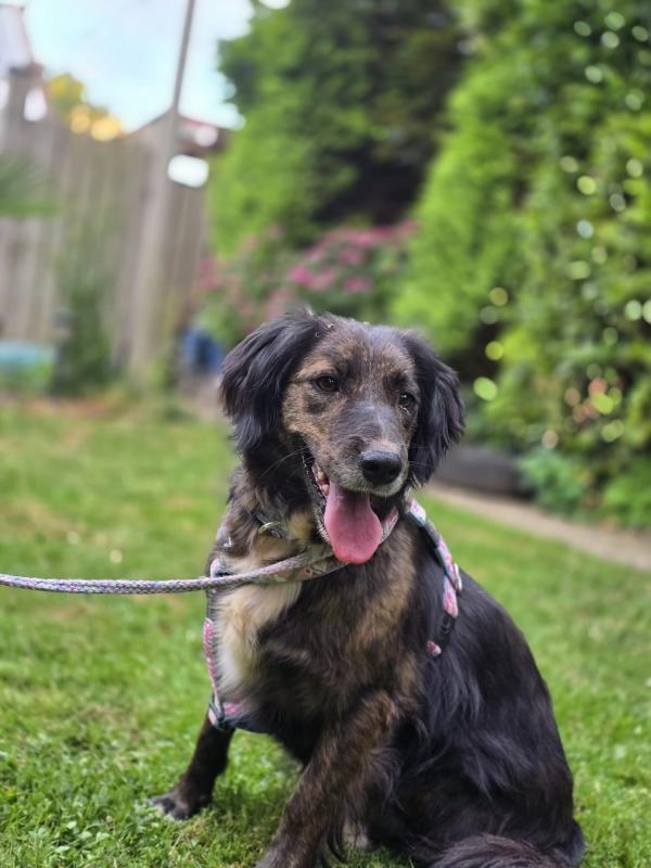 Kali
