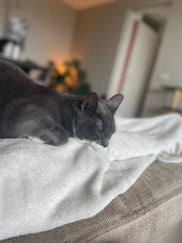 Diego