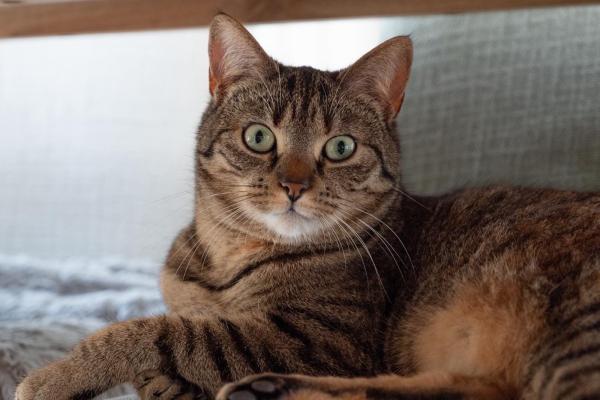 Kiki