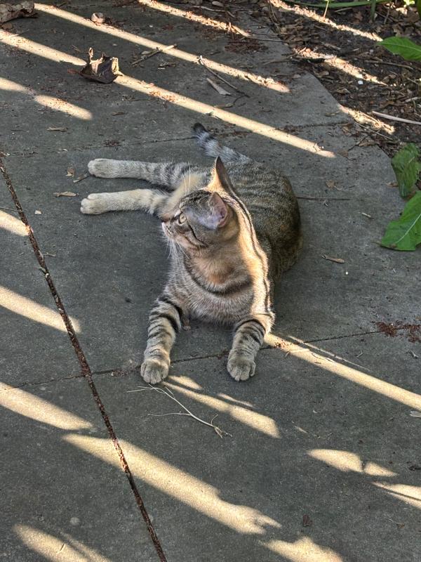 Kiki