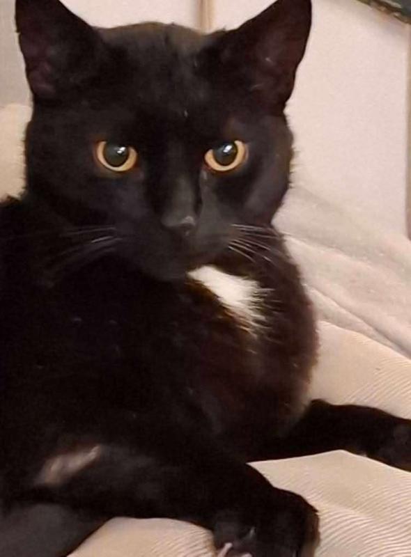 Blacky