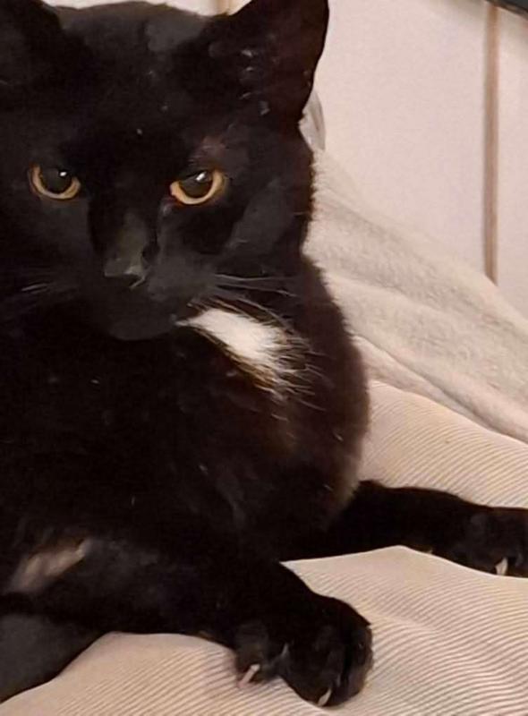 Blacky