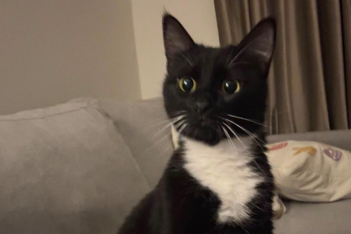 Kiki