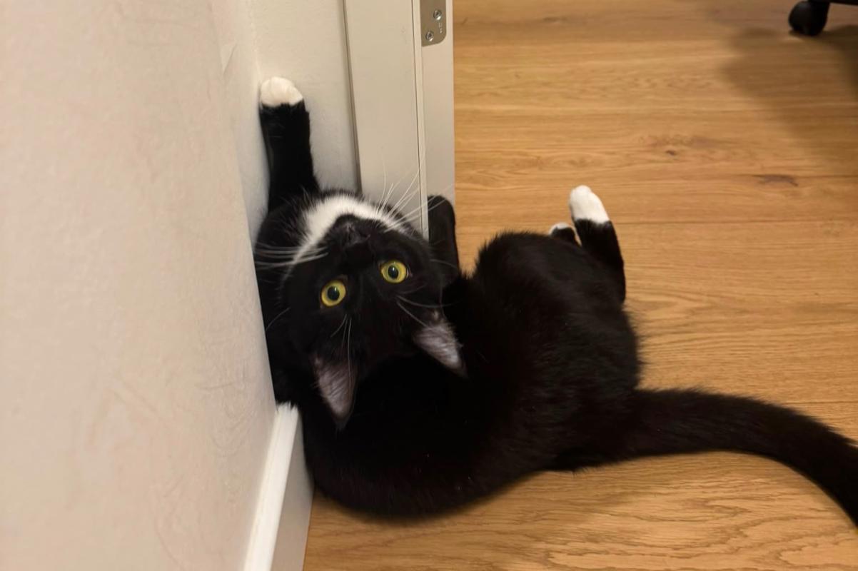Kiki