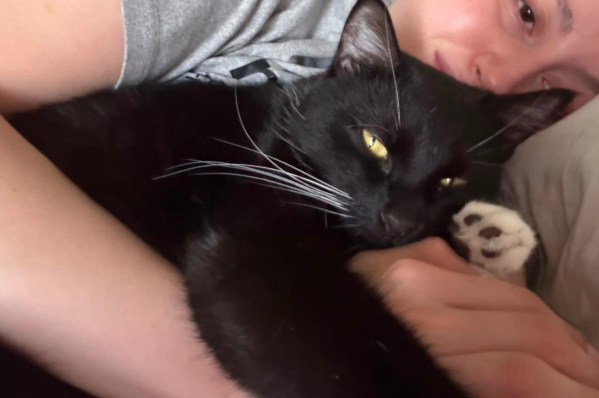 Kiki