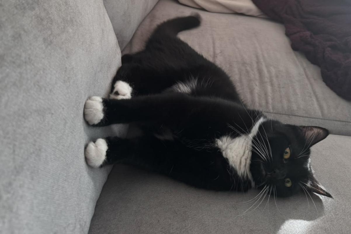 Kiki